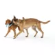 Product West Paw Zogoflex Bumi Dog Toy