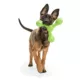 Product West Paw Zogoflex Qwizl Dog Toy