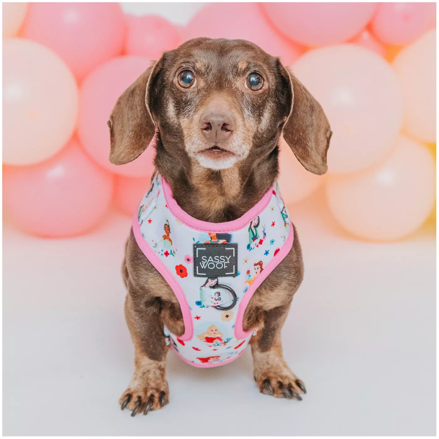 Product Sassy Woof Disney Princess Harness