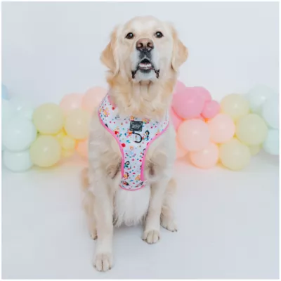 Product Sassy Woof Disney Princess Harness