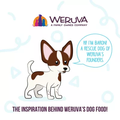 Weruva Dog Meals 'n More Adult Wet Dog Food - Skin & Coat Health, Shreds in Gravy, 3.5 oz - Image 7