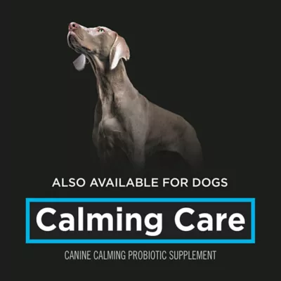 Product Purina Pro Plan Veterinary Supplements Calming Care Powdered Cat Calming Probiotic, 30 g