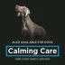 Purina Pro Plan Veterinary Supplements Calming Care Powdered Cat Calming Probiotic, 30 g image thumbnail 5