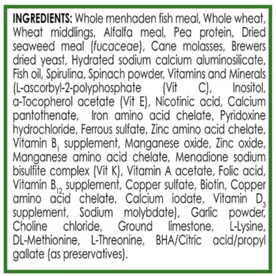 API® Algae Wafers Fish Food - Image 2