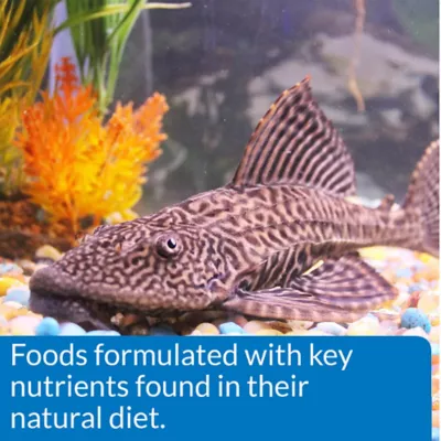 API® Algae Wafers Fish Food - Image 6