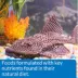 API® Algae Wafers Fish Food image thumbnail 6