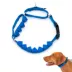 PetSafe® Soft Point Training Collar - No Pull Rubber Soft Points - Royal Blue or Black Options image thumbnail 1