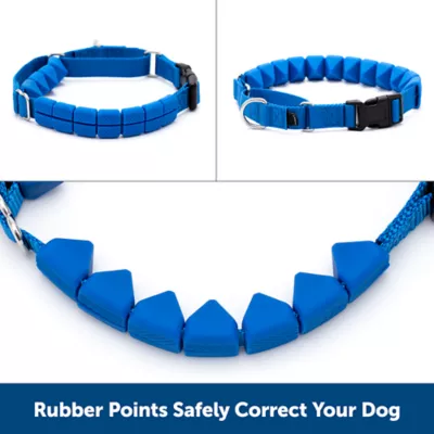 Product PetSafe® Soft Point Training Collar - No Pull Rubber Soft Points - Royal Blue or Black Options