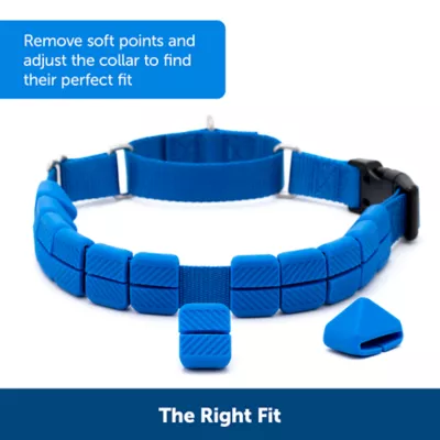Product PetSafe® Soft Point Training Collar - No Pull Rubber Soft Points - Royal Blue or Black Options