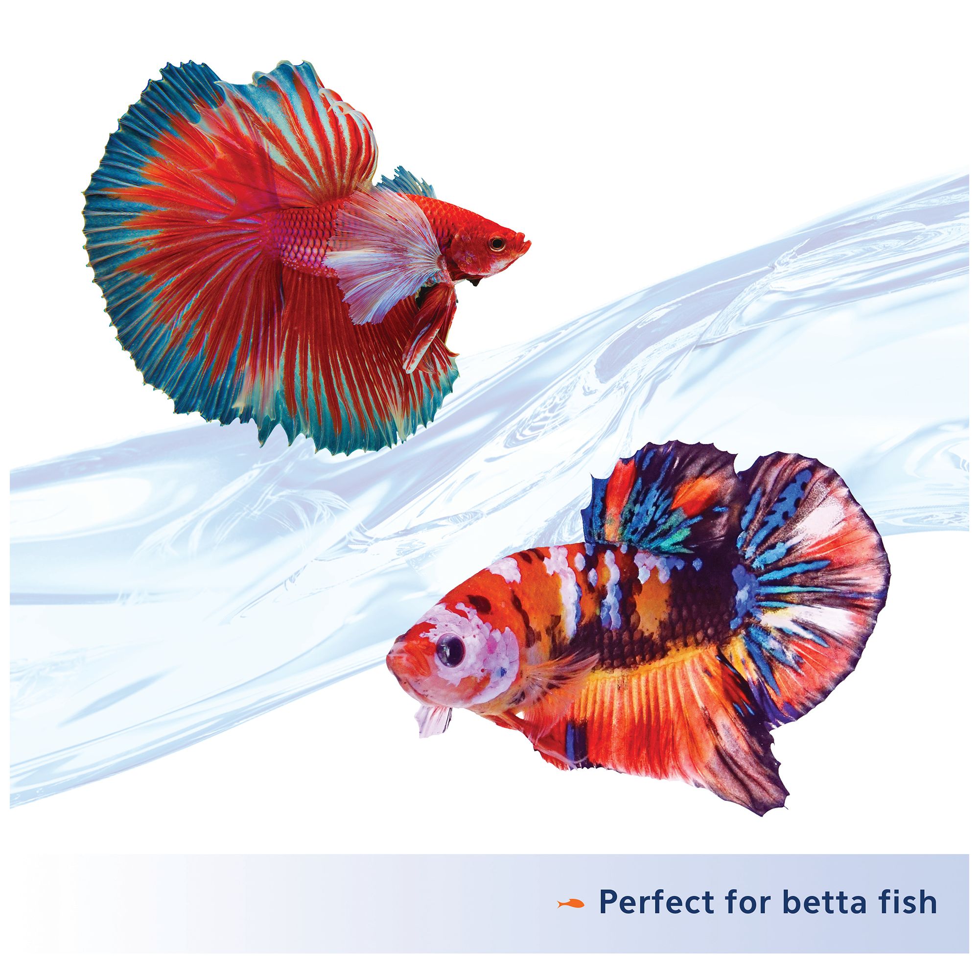 Aqueon Nutrinsect Betta Pellets Fish Food Complete Diet - thumbnail 4