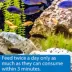 API® Cichlid Pellets Fish Food image thumbnail 3