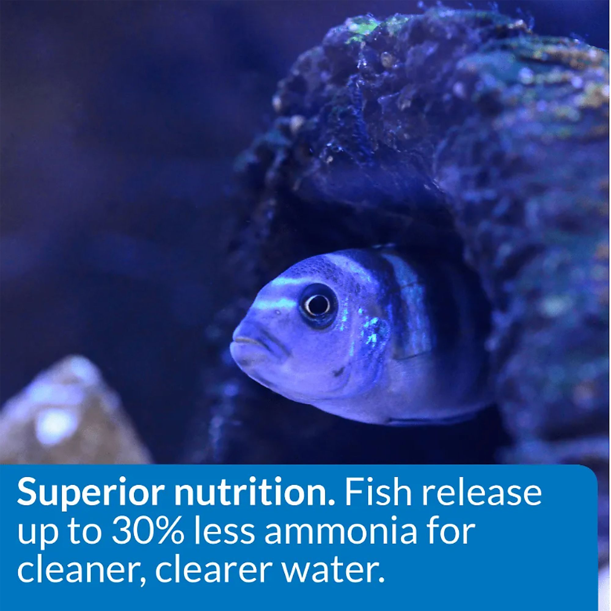 API® Cichlid Pellets Fish Food Complete Diet - thumbnail 4