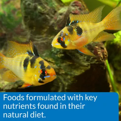 API® Cichlid Pellets Fish Food - Image 5