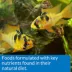 API® Cichlid Pellets Fish Food image thumbnail 5