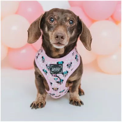 Product Sassy Woof Disney Minnie Mouse Dog Harness