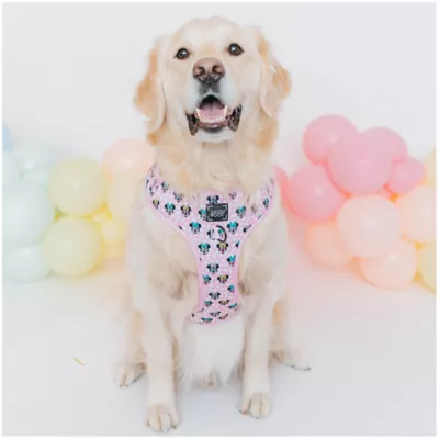 Product Sassy Woof Disney Minnie Mouse Dog Harness