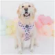 Product Sassy Woof Disney Minnie Mouse Dog Harness