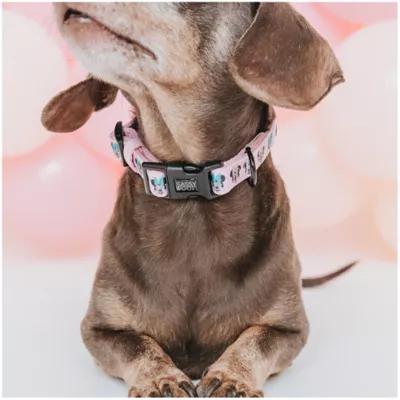 Product Sassy Woof Disney Minnie Mouse Dog Collar