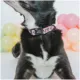 Product Sassy Woof Disney Minnie Mouse Dog Collar