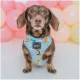 Product Sassy Woof Disney Winnie the Pooh Dog Harness