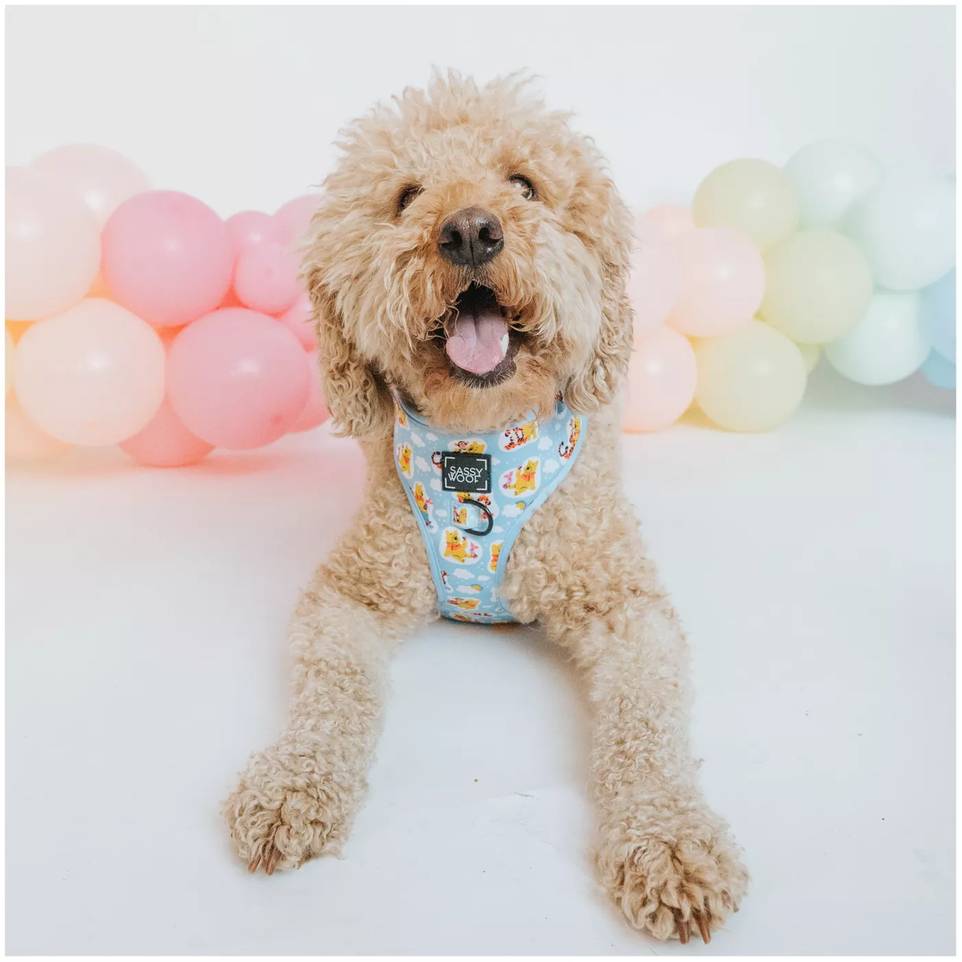 Sassy Woof Disney Winnie the Pooh Dog Harness