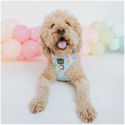 Product Sassy Woof Disney Winnie the Pooh Dog Harness