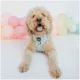 Product Sassy Woof Disney Winnie the Pooh Dog Harness