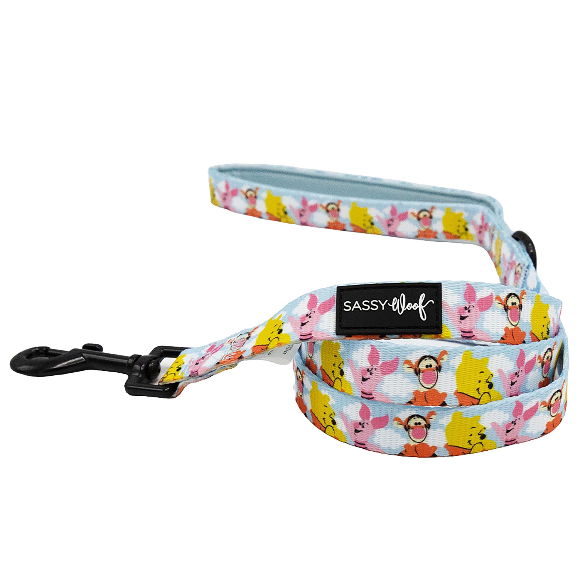 Petsmart leashes and collars best sale