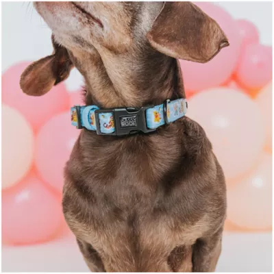 Product Sassy Woof Disney Winnie The Pooh Collar