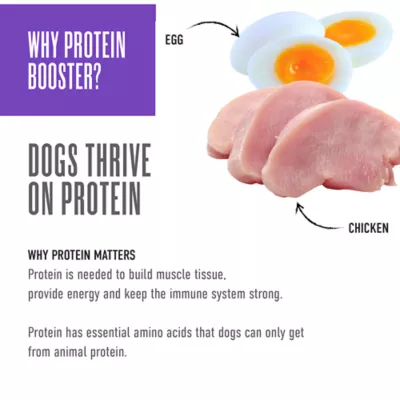 Product Tiki Dog Born Carnivore Protein Boosters Wet Dog Food - Chicken & Egg, 2.1 Oz