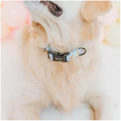 Product Sassy Woof Disney Winnie The Pooh Collar