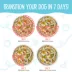 Weruva Dog Meals 'n More Adult Wet Dog Food - Skin & Coat, Woof Woof Floof! Variety Pack, 10ct image thumbnail 5