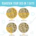 Weruva Dog Meals 'n More Adult Wet Dog Food - Skin & Coat Health, Shreds in Gravy, 3.5 oz image thumbnail 5
