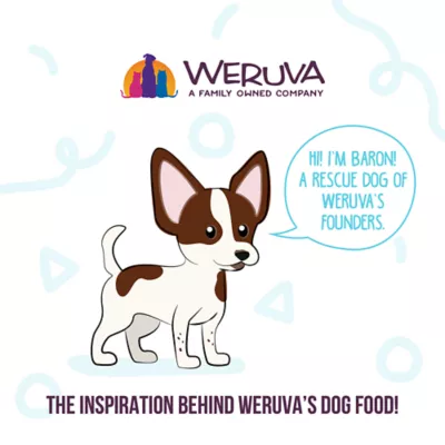Product Weruva Dog Meals 'n More Adult Wet Dog Food - Skin & Coat Health, Shreds in Gravy, 3.5 oz