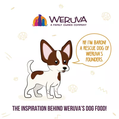 Product Weruva Dog Classic Adult Wet Dog Food - Grain Free, Shreds in Gravy, 14 oz