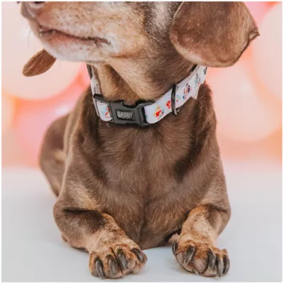Product Sassy Woof Disney Princess Collar