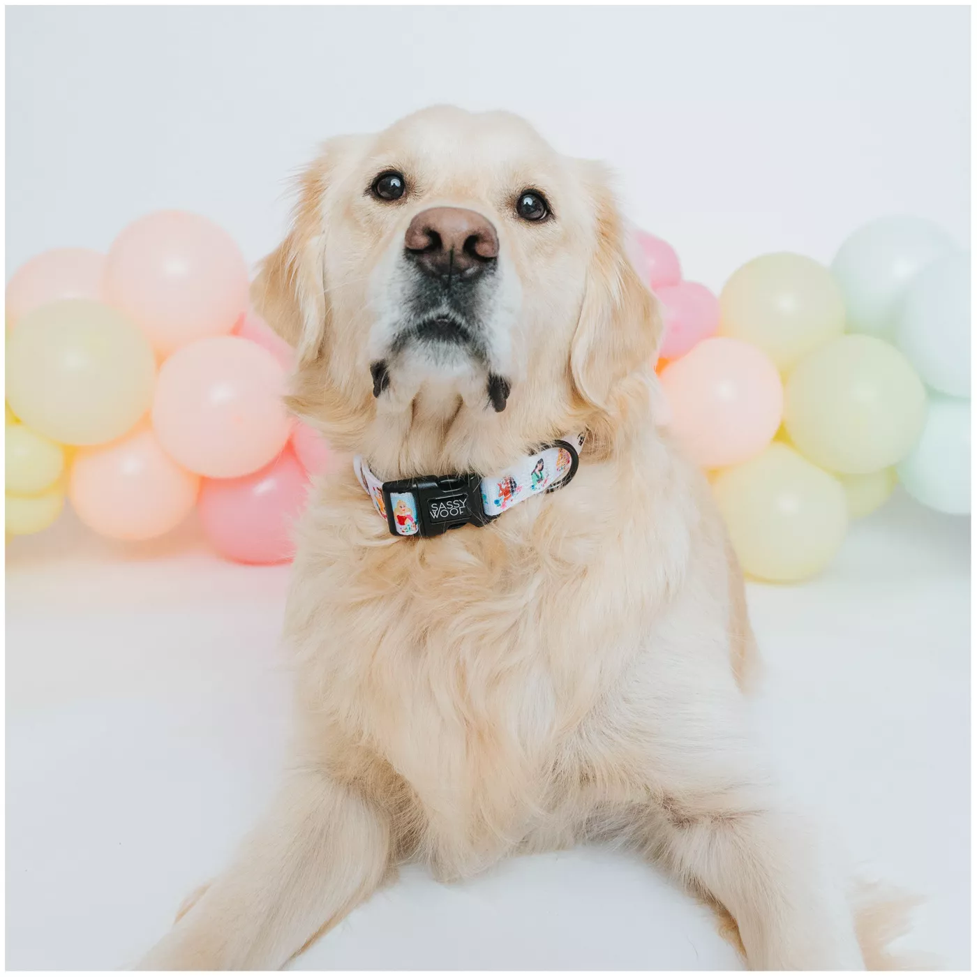 Sassy Woof Disney Princess Collar
