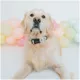 Product Sassy Woof Disney Princess Collar