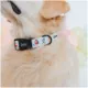 Product Sassy Woof Disney Princess Collar