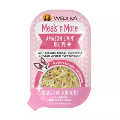 Weruva Dog Meals 'n More Adult Wet Dog Food - Digestive Support, Shreds in Pumpkin Soup, 3.5 oz - Image 1