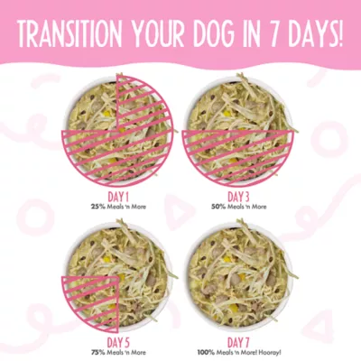 Weruva Dog Meals 'n More Adult Wet Dog Food - Digestive Support, Shreds in Pumpkin Soup, 3.5 oz - Image 5