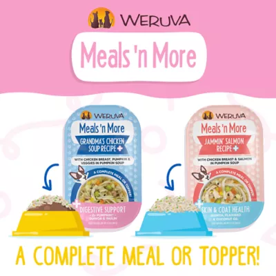 Product Weruva Dog Meals 'n More Adult Wet Dog Food - Digestive Support, Shreds in Pumpkin Soup, 3.5 oz