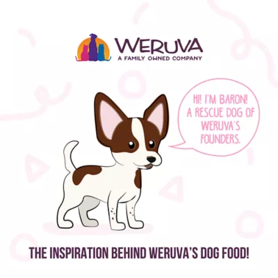 Product Weruva Dog Meals 'n More Adult Wet Dog Food - Digestive Support, Shreds in Pumpkin Soup, 3.5 oz