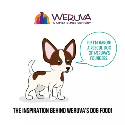 Weruva Dogs in the Kitchen Adult Wet Dog Food - Grain Free, Shreds in Au Jus, 2.8 oz - Image 7