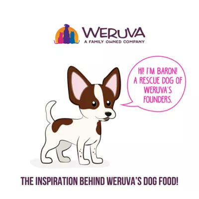 Product Weruva B.F.F. Fun Size Meals! Wet Dog Food - 2.75 oz, Minced In Broth