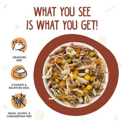 Weruva Dog Classic Adult Wet Dog Food - Grain Free, Shreds in Gravy, 14 oz - Image 3