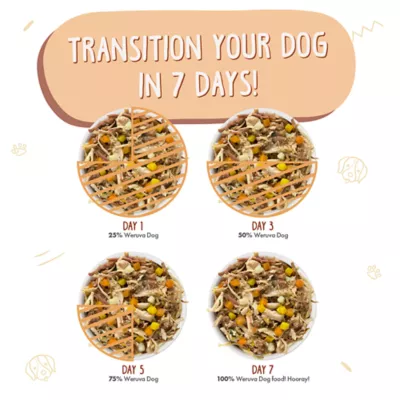 Weruva Dog Classic Adult Wet Dog Food - Grain Free, Shreds in Gravy, 14 oz - Image 5