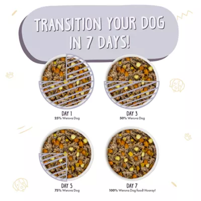 Weruva Dog Classic Adult Wet Dog Food - Grain Free, Shreds in Gravy, 14 oz - Image 5