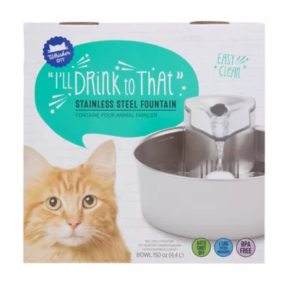 Pet water fountain petsmart best sale