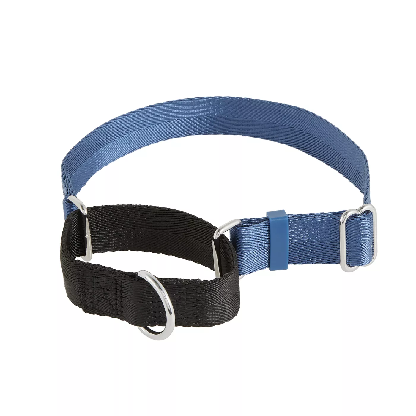 Top Paw Blue Training Non Slip Martingale Dog Collar